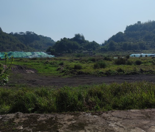 ed3c3bb4-f7ea-4e01-81f6-b0a2bdeb0ad5