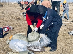 37602431-4ce1-421f-9980-e5425bc14d69